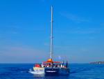 catamaran cyprus